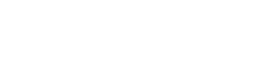 Baygull Studios Logo