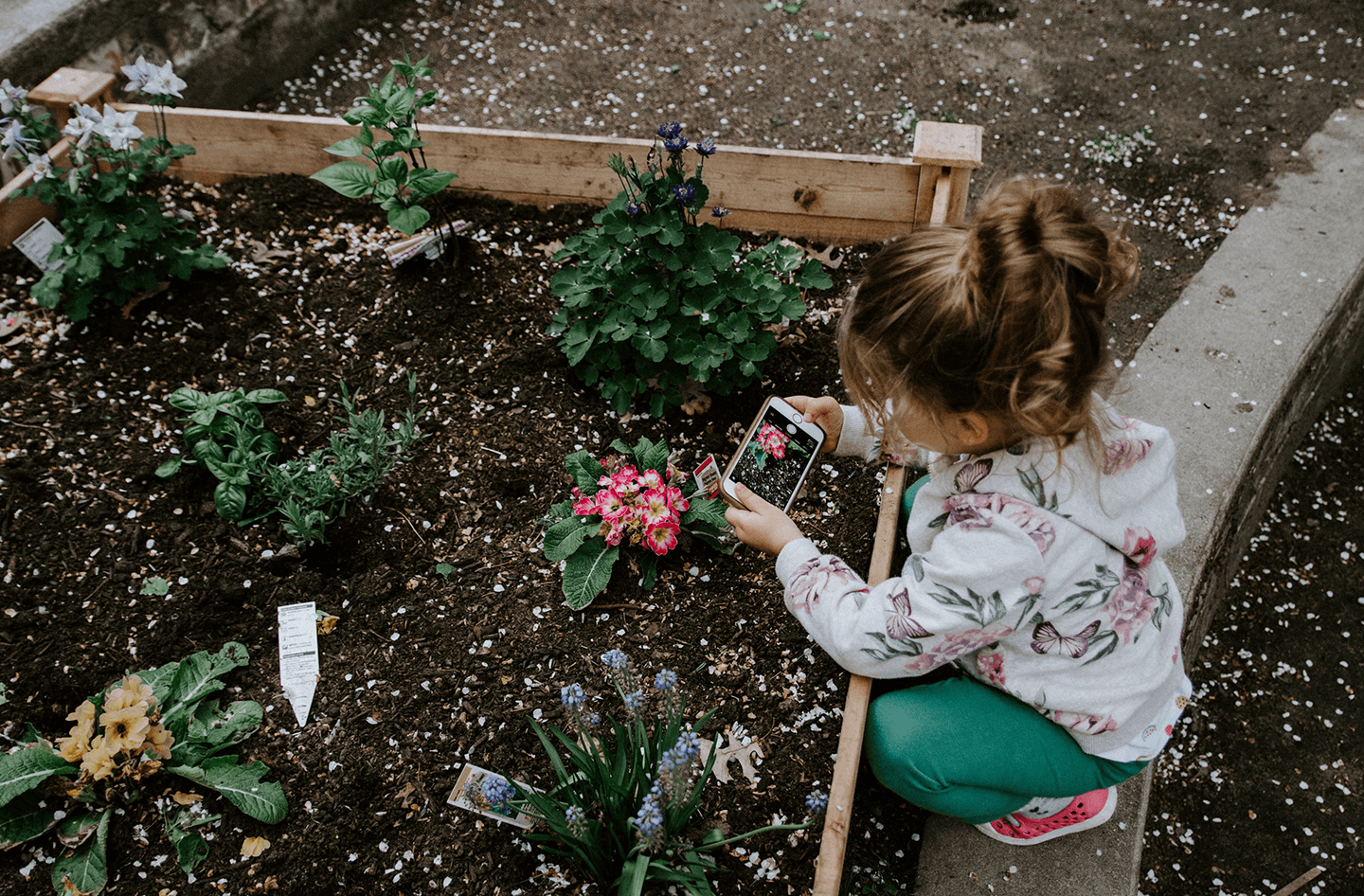 Girl taking pictures of plants